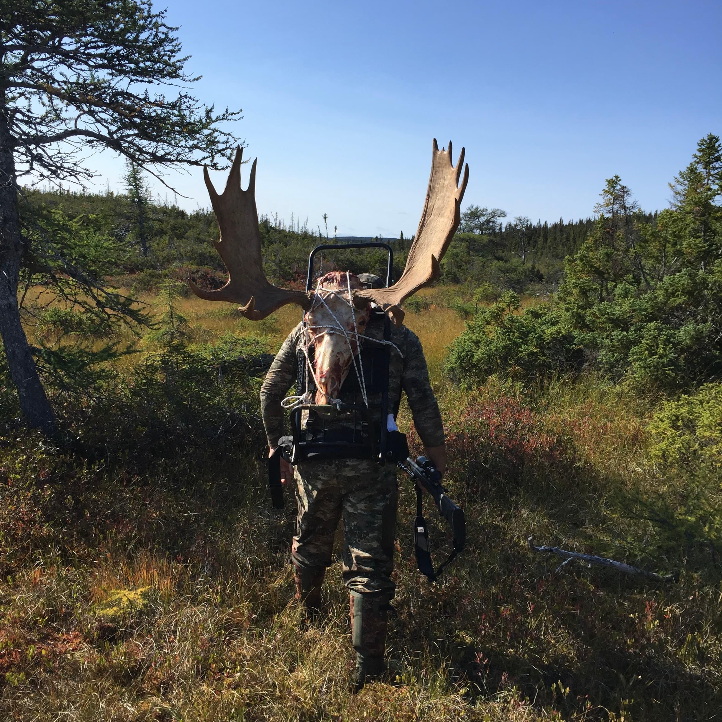 Inaugurated As A Hunting Guide