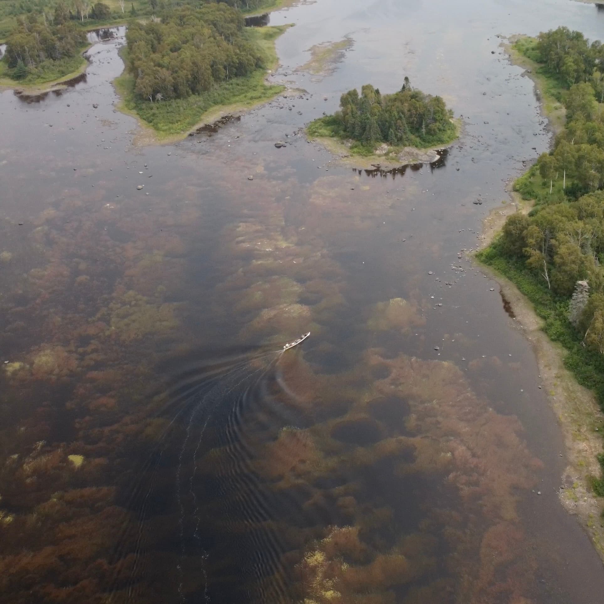 Reflecting & Fly Fishing On The Gander River With Mitch Head