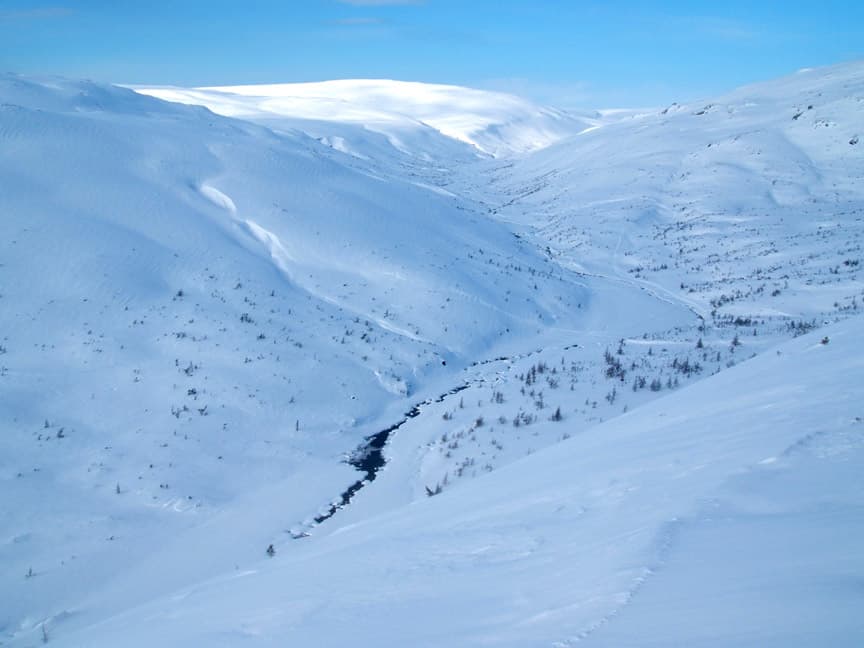 Winter Guiding in Newfoundland: A Changing Landscape